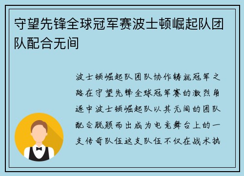守望先锋全球冠军赛波士顿崛起队团队配合无间