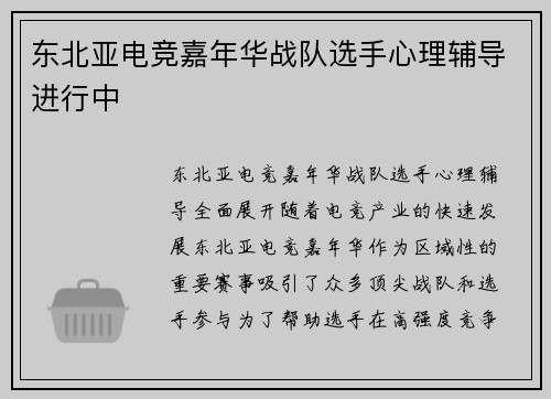 东北亚电竞嘉年华战队选手心理辅导进行中